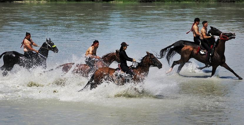 Galloping through cultures: How horses connect humanity