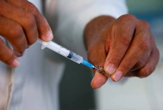 Kenya Faces Health Emergencies: Mpox, Ebola, Measles, Polio