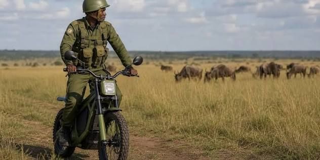 Electric Motorcycles Transform Maasai Mara Patrols