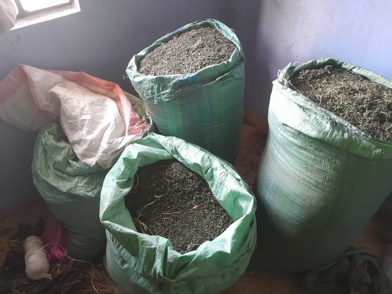 Bhang Worth Sh5.6 Million Seized in Ruai,3 Suspects Arrested